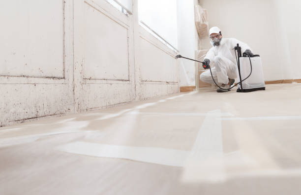 24/7 Emergency Mold Remediation experts in Thomasville, GA