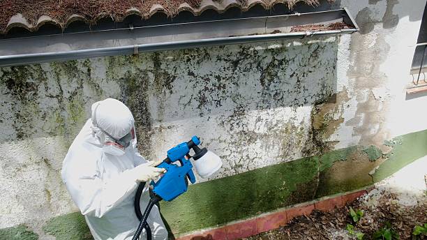 Top rated local Mold Remediation specialists in Thomasville, GA